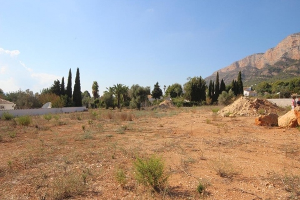 plot in Javea