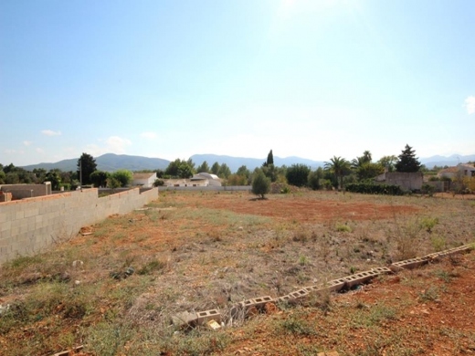 plot in Javea