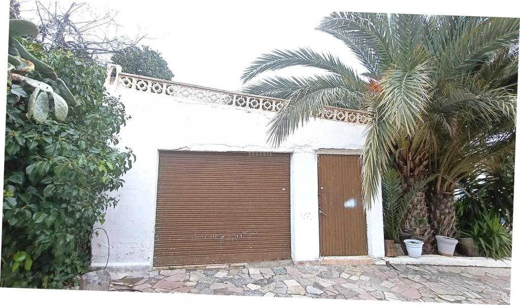 5 bed country house in Elche/Elx