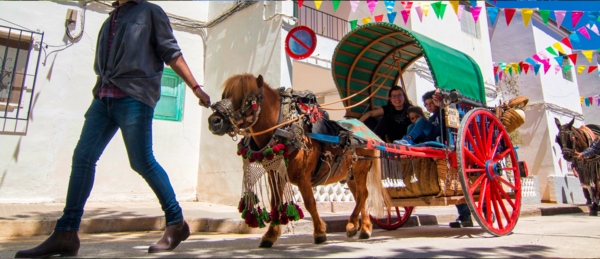 Fiestas in Benissa: Patron Saint Festivities in honor of the Puríssima Xiqueta