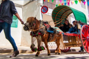 Fiestas in Benissa: Patron Saint Festivities in honor of the Puríssima Xiqueta
