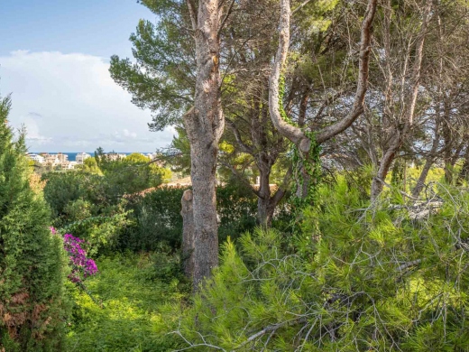 plot in Jávea