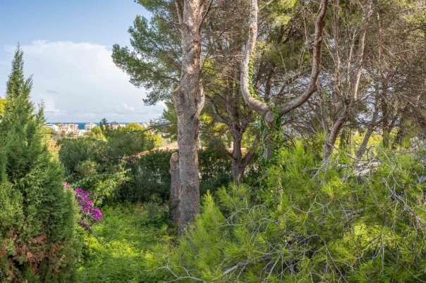 plot in Jávea