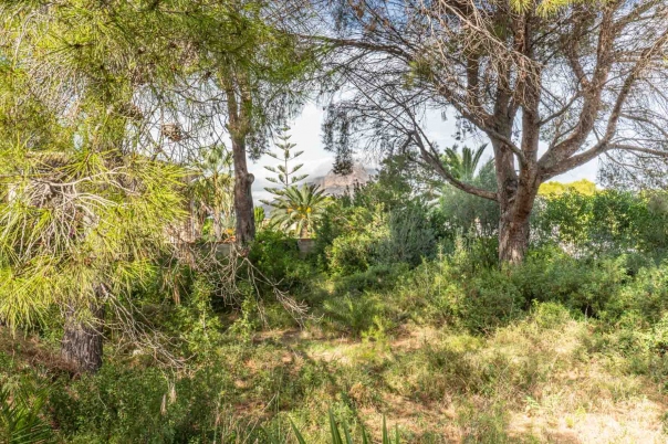 plot in Jávea
