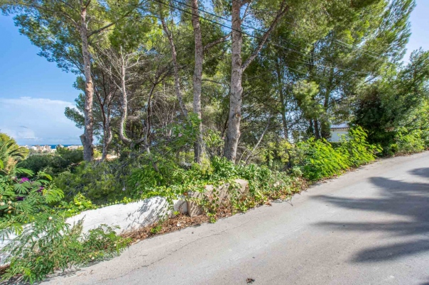 plot in Jávea