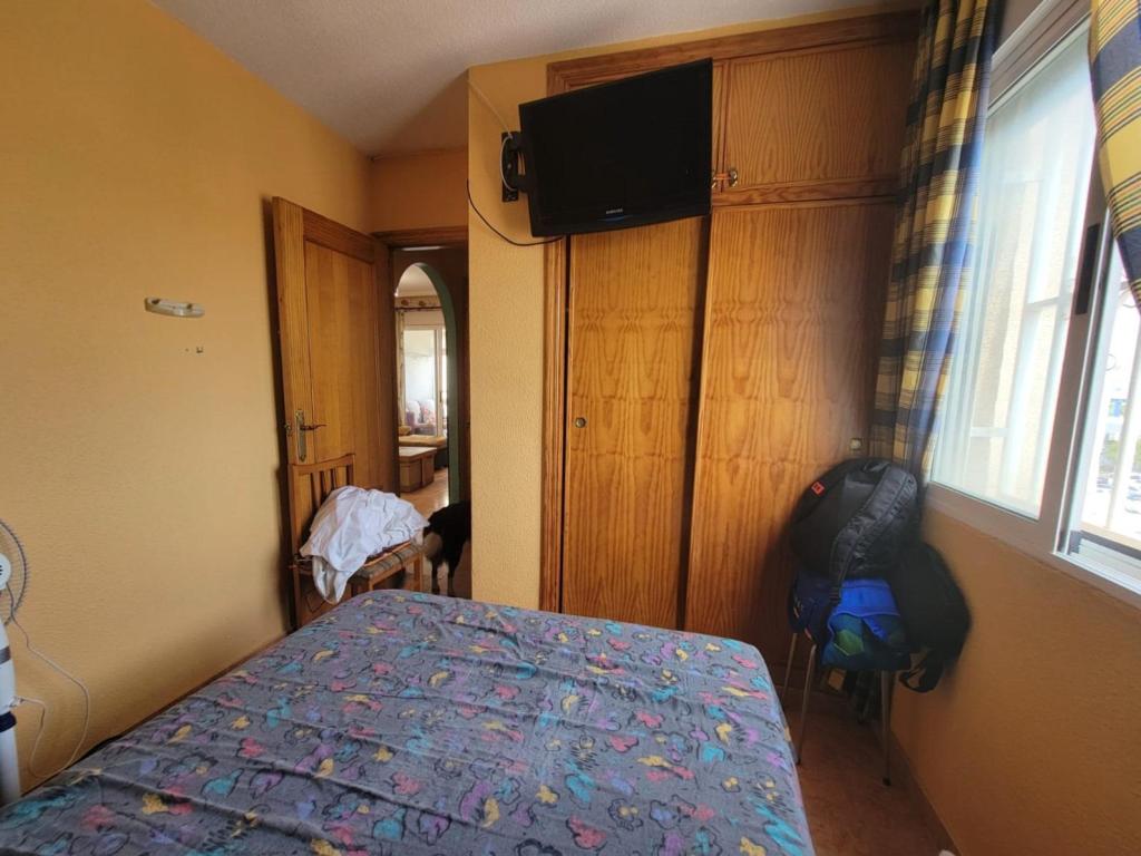 2 bed apartment in Torrevieja