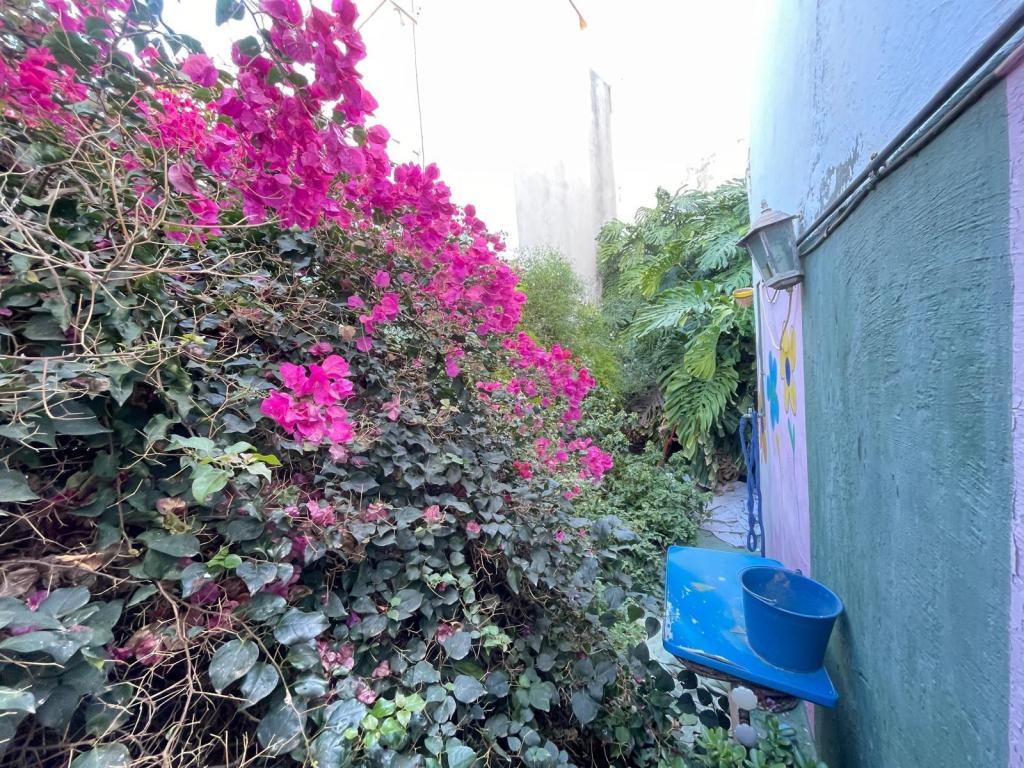 2 bed casa de pueblo in Calpe