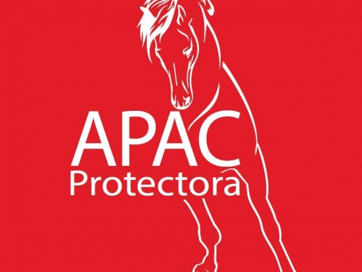 APAC Caballos Rescue Horses