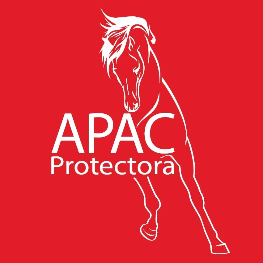 APAC Caballos Rescue Horses