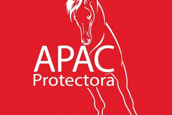 APAC Caballos Rescue Horses