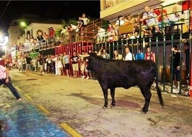 Fiestas in Calpe: "Bous Al Carrer" (August 2025)