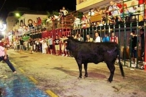 Fiestas in Calpe: "Bous Al Carrer" (August 2025)
