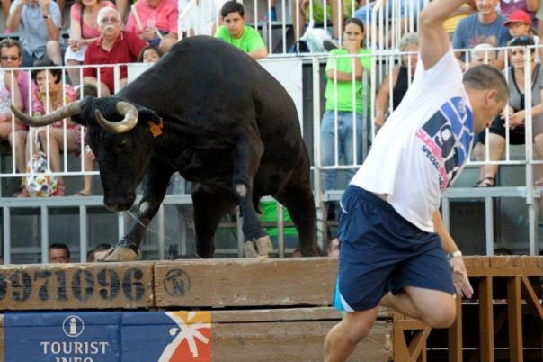 Fiestas in Calpe: "Bous Al Carrer" (August 2025)