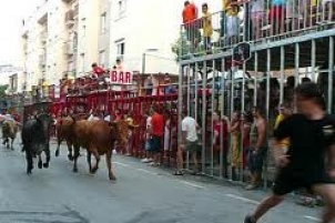Fiestas in Calpe: "Bous Al Carrer" (August 2025)