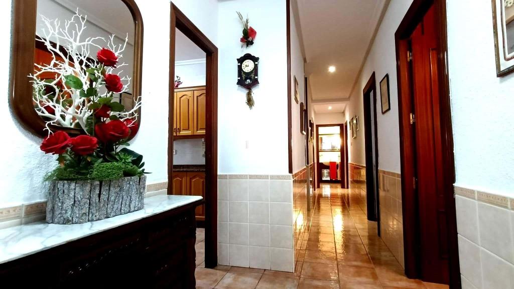 4 bed country house in Elche/Elx