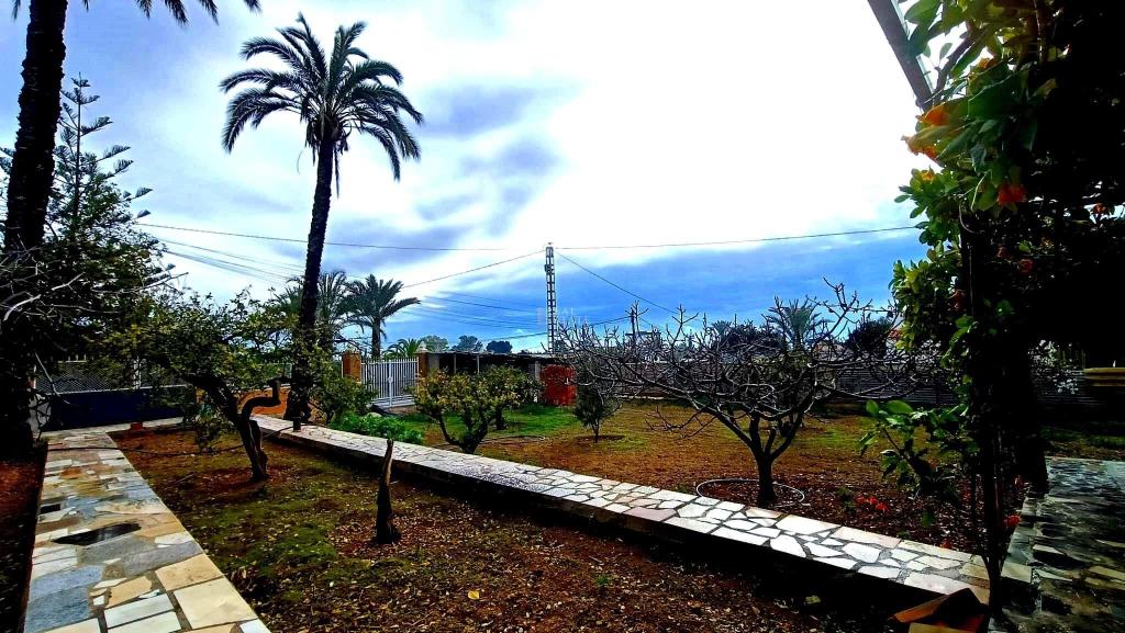 4 bed country house in Elche/Elx