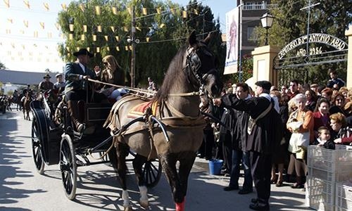 Fiestas in Javea: "San Antonio Abad" (January 2025)