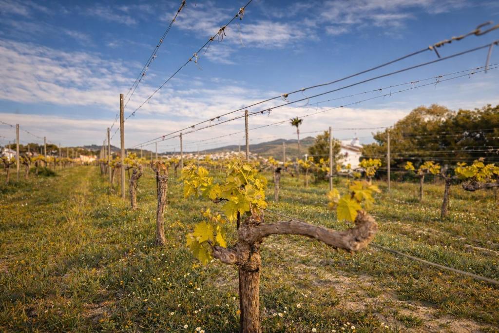 3 bed finca in Benitachell