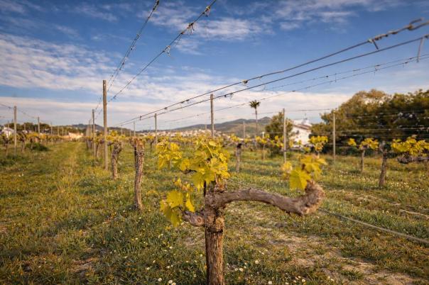3 bed finca in Benitachell