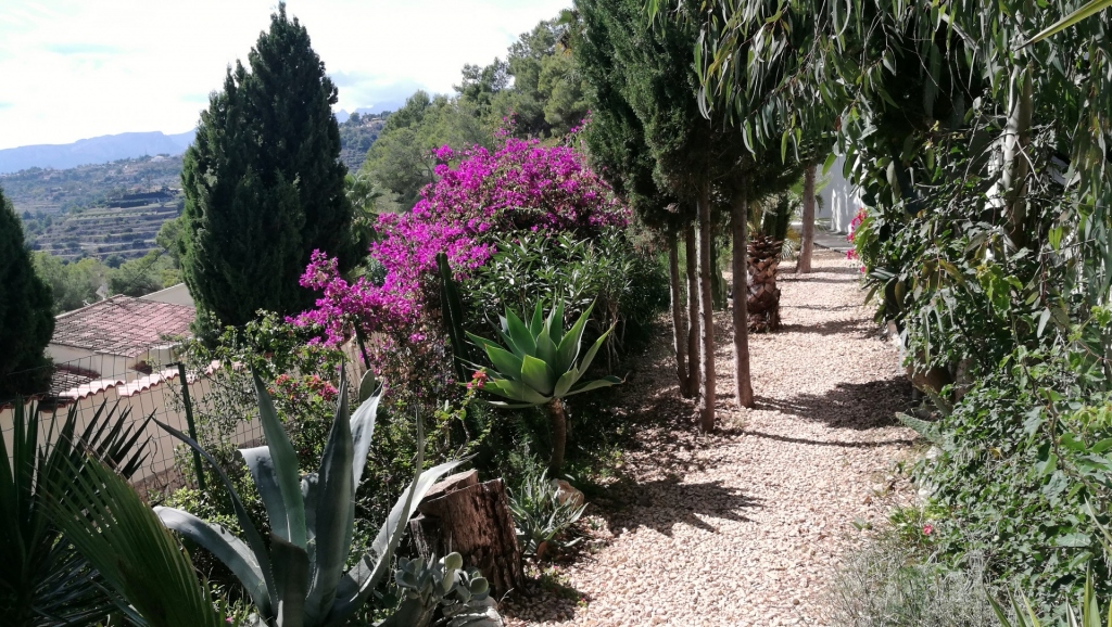 6 bed villa in Benissa