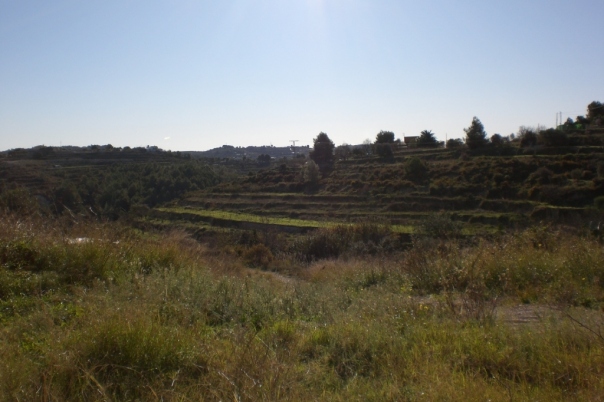 3 bed finca in Benissa
