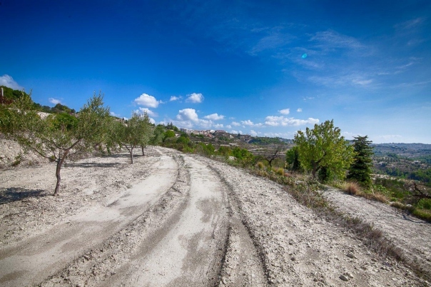plot in Benissa
