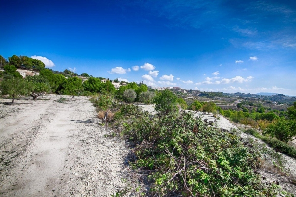 plot in Benissa