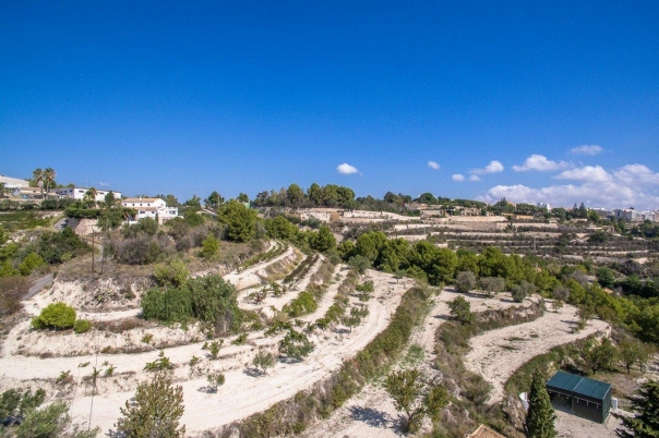 plot in Benissa