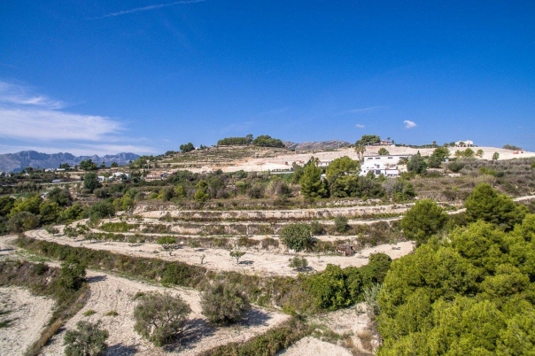 plot in Benissa