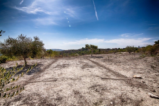 plot in Benissa