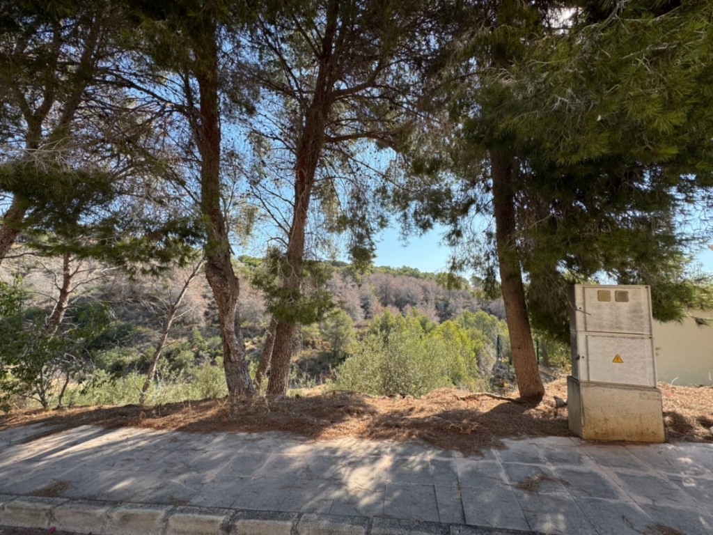 plot in Benissa