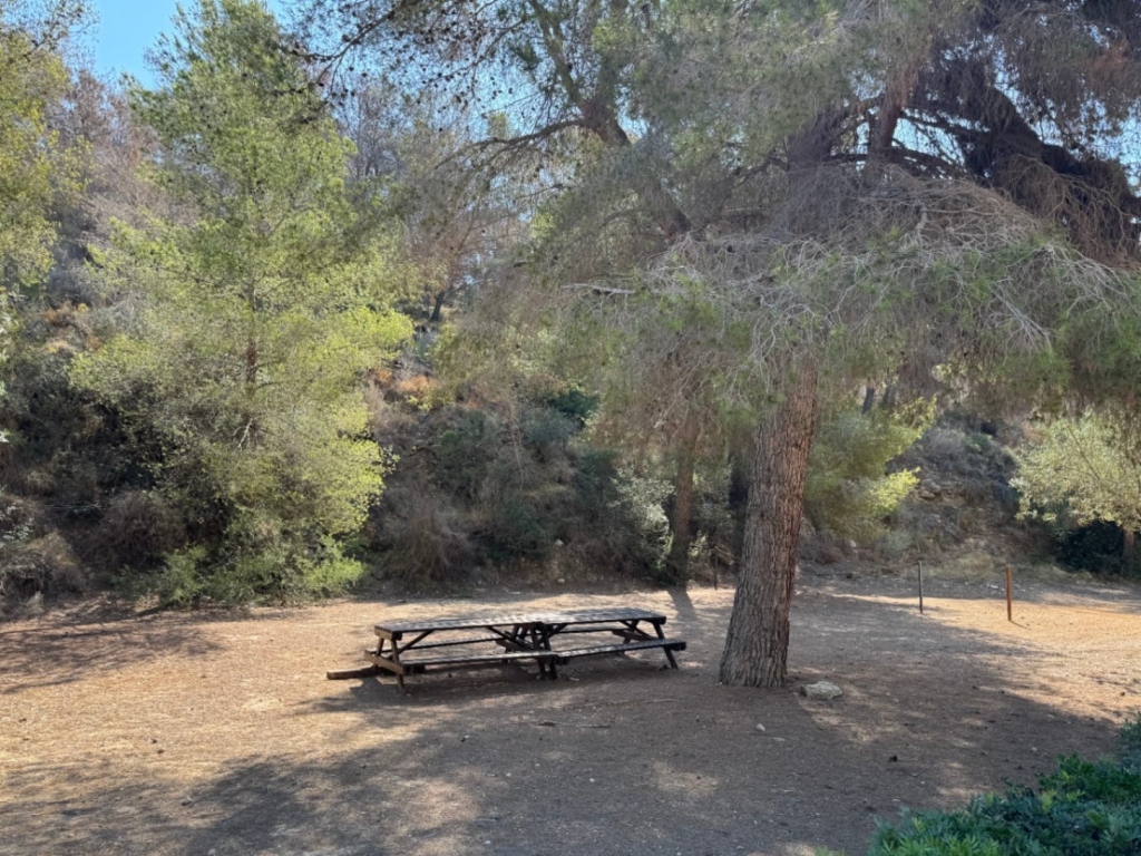 plot in Benissa