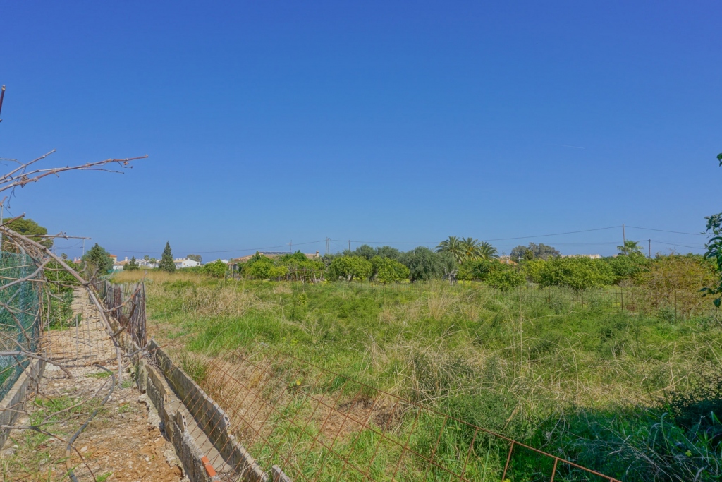plot in Els Poblets
