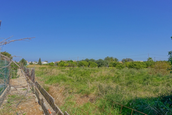 plot in Els Poblets