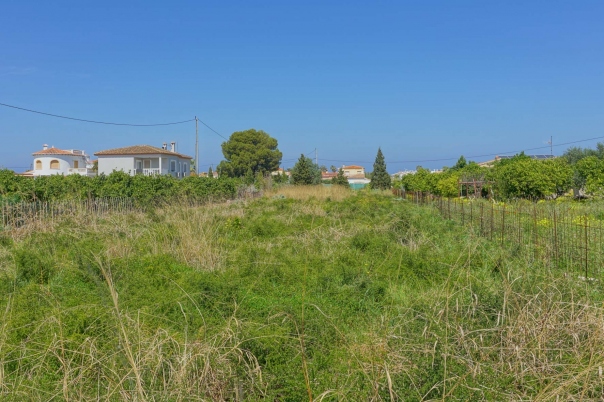 plot in Els Poblets