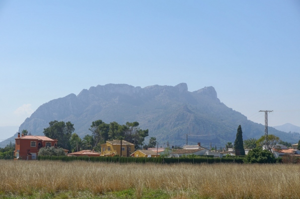 plot in Els Poblets