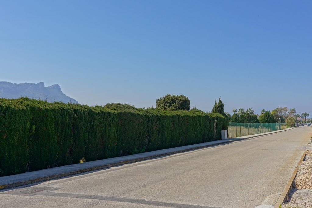 plot in Els Poblets