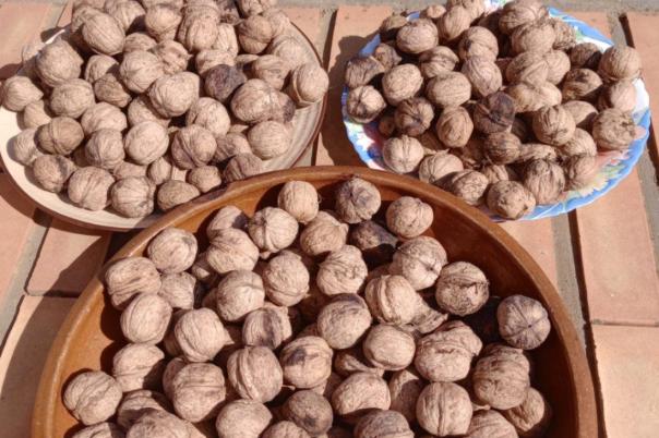 2 bed finca in Ondara