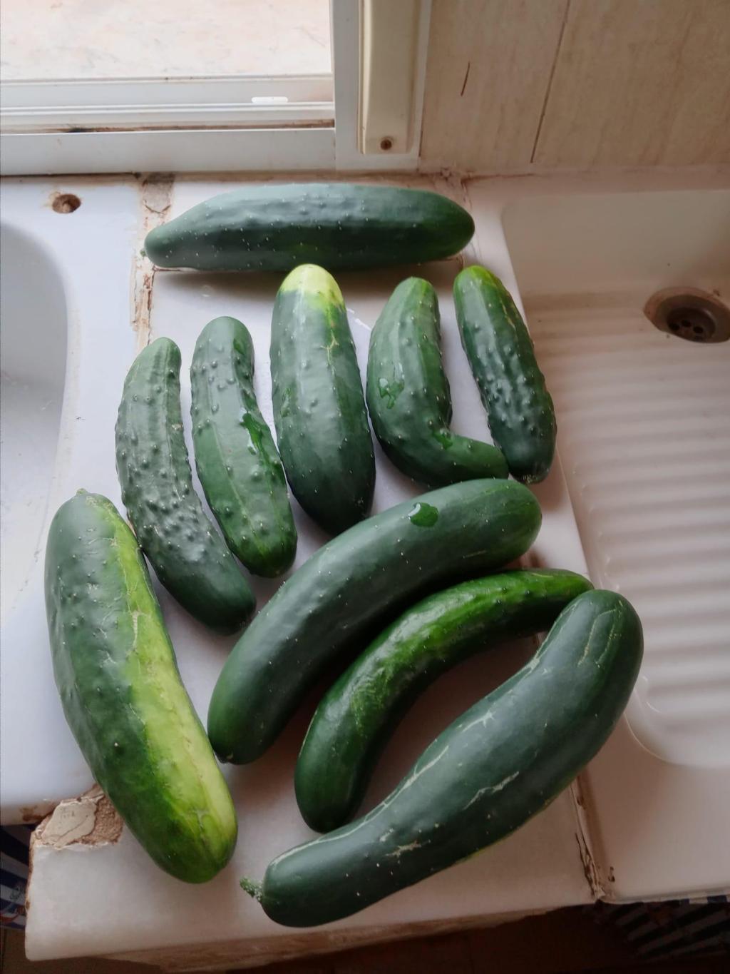 2 bed finca in Ondara