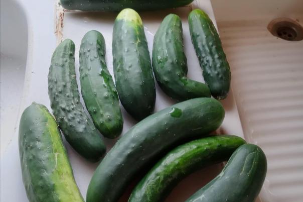 2 bed finca in Ondara