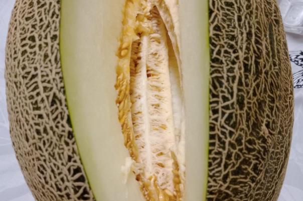 2 bed finca in Ondara