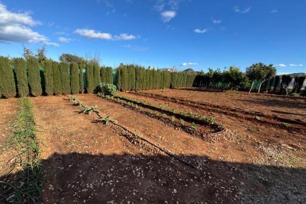 2 bed finca in Ondara