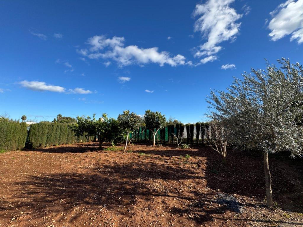 2 bed finca in Ondara