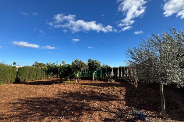 2 bed finca in Ondara