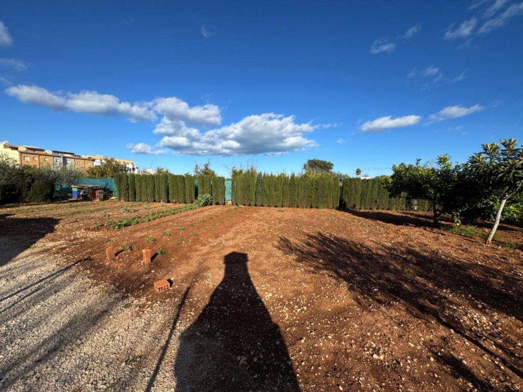 2 bed finca in Ondara