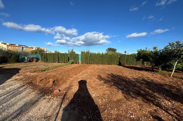 2 bed finca in Ondara