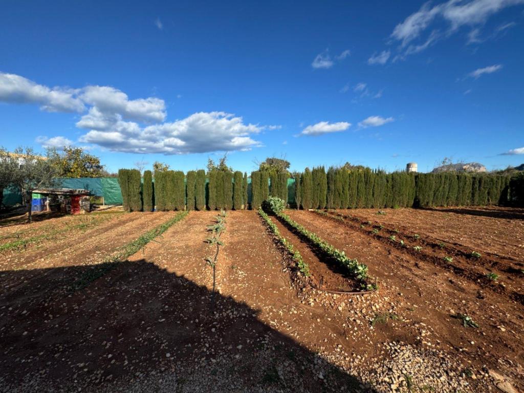 2 bed finca in Ondara