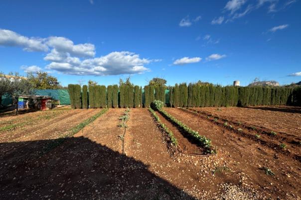 2 bed finca in Ondara