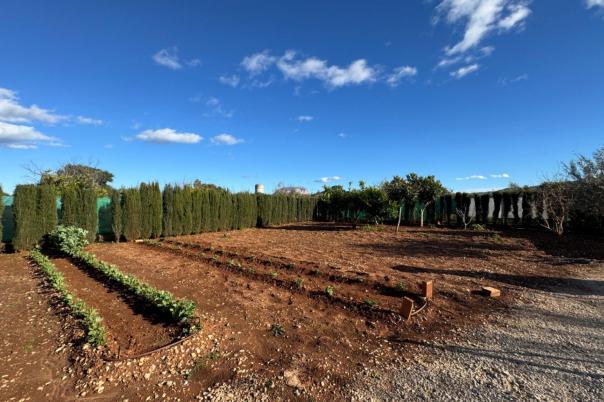 2 bed finca in Ondara