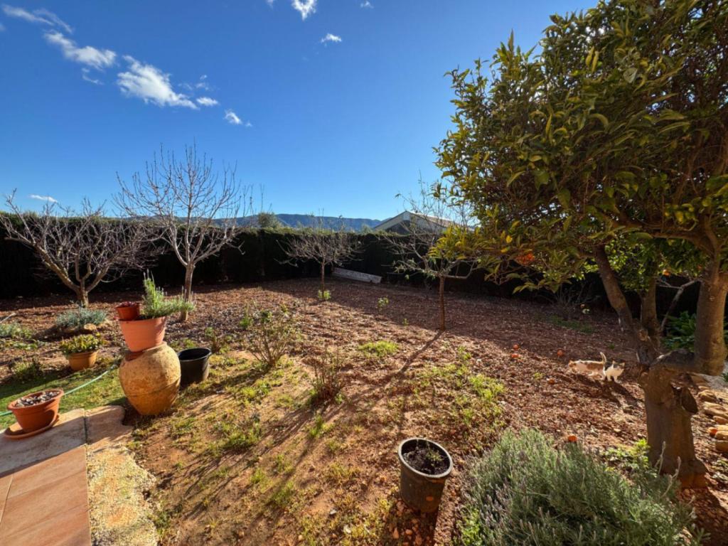 2 bed finca in Ondara